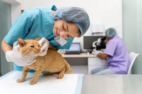 doutor no laboratorio
